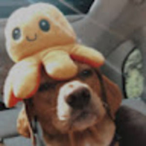 Meet your Posher, Brianna